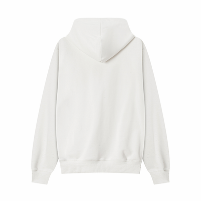 Ami Zip Hoodie
