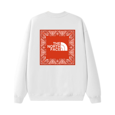 Tnf Monochromatic Hoodie