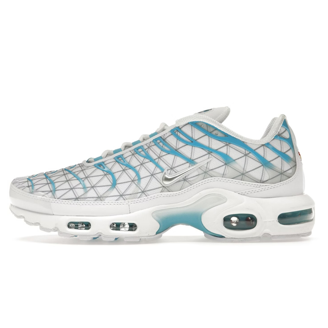 TN White Blue